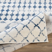 Surya Roma ROM-2342 Area Rug Texture Surya Roma ROM-2342 Area Rug Texture