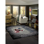 NFL Distressed New England Patriots Area Rug