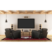 San Francisco 49ers Rug in Room with TV