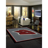 College Spirit University Of Wisconsin Area Rug College Spirit University Of Wisconsin Area Rug