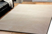Dynamic Rugs Silky Shag 5900-100 Ivory Shag Area Rug Room Scene Dynamic Rugs Silky Shag 5900-100 Ivory Shag Area Rug Room Scene