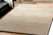 Dynamic Rugs Silky Shag 5900-115 Beige Shag Area Rug Room Scene Dynamic Rugs Silky Shag 5900-115 Beige Shag Area Rug Room Scene