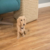 Nubrisa Choice 4500 Blonde Ale 7-1/8" X 48" Luxury Vinyl Plank Room Scene 2 Nubrisa Choice 4500 Blonde Ale 7-1/8" X 48" Luxury Vinyl Plank Room Scene 2