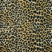 Dalyn Akina AK2 Gold Area Rug Closeup Dalyn Akina AK2 Gold Area Rug Closeup