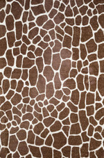 Dalyn Akina AK4 Chocolate Area Rug Dalyn Akina AK4 Chocolate Area Rug