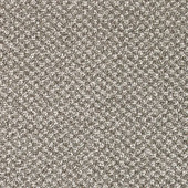 Karastan Striking View - Iron Gate Carpet Karastan Striking View - Iron Gate Carpet