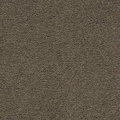 Karastan Craftsman Charm - Shadywood Carpet Karastan Craftsman Charm - Shadywood Carpet