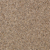 Karastan Unprecedented - Applewood Carpet Karastan Unprecedented - Applewood Carpet