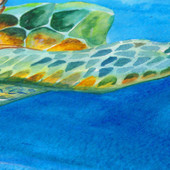 Dalyn Harbor HA3 Ocean Area Rug Closeup Dalyn Harbor HA3 Ocean Area Rug Closeup