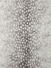 Loloi II Bliss Shag BLS-01 Grey White Area Rug Loloi II Bliss Shag BLS-01 Grey White Area Rug
