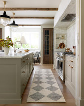 Francis FRA-01 Beige Charcoal Runner Area Rug Room Scene