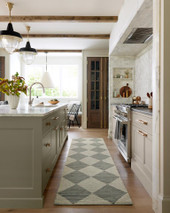 Francis FRA-01 Spa Granite Runner Area Rug Room Scene