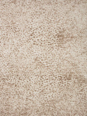 Loloi II Neda NED-02 Ivory Sand Area Rug Loloi II Neda NED-02 Ivory Sand Area Rug