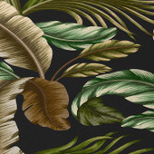 Dalyn Tropics TC1 Black Area Rug Closeup
