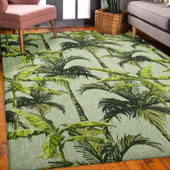 Dalyn Tropics TC10 Aloe Area Rug Room Scene