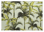Dalyn Tropics TC10 Aloe Scatter Rug