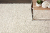 Nourison Malibu Shag MSG01 Ivory 5x7 Area Rug in Room Nourison Malibu Shag MSG01 Ivory 5x7 Area Rug in Room