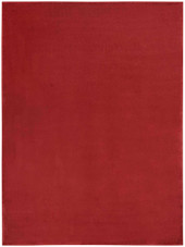 Nourison Essentials NRE01 Brick Red Area Rug Nourison Essentials NRE01 Brick Red Area Rug