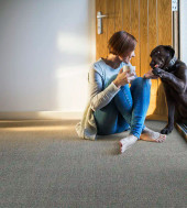 Kaleen PureLife Marlin Springs MRS-38 Charcoal Area Rug Room Scene Kaleen PureLife Marlin Springs MRS-38 Charcoal Area Rug Room Scene