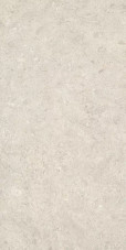 Coralstone Calcite 12" X 24" Porcelain Tile Product Image Coralstone Calcite 12" X 24" Porcelain Tile Product Image