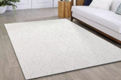 Dynamic Rugs Aria 8551-100 Ivory Area Rug Room Scene Dynamic Rugs Aria 8551-100 Ivory Area Rug Room Scene