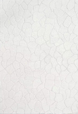 Dynamic Rugs Aria 8551-100 Ivory Area Rug Dynamic Rugs Aria 8551-100 Ivory Area Rug