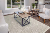 Dynamic Rugs Bailey 3882-819 Beige Ivory Grey Area Rug Room Scene