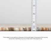 Dalyn Abruzzo AZ1 Gray Area Rug Pile Dalyn Abruzzo AZ1 Gray Area Rug Pile