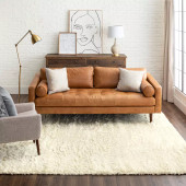 Karastan Billow Shag R1148-105 Ivory Area Rug Room Scene Karastan Billow Shag R1148-105 Ivory Area Rug Room Scene