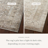 Loloi Sonnet SNN-08 Grey Sage Area Rug Dynamic