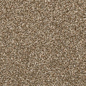 Mohawk Dynamic Quality I - Spice Cake Carpet Mohawk Dynamic Quality I - Spice Cake Carpet