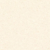 Mohawk Radiant Surface - White Linen Carpet