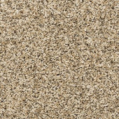 Mohawk Furocious I - Bisque Carpet Mohawk Furocious I - Bisque Carpet