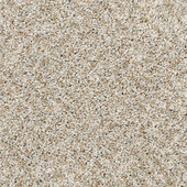 Mohawk Bon A Pet Treat II - Crystalline Carpet Mohawk Bon A Pet Treat II - Crystalline Carpet