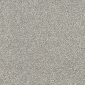 Dreamweaver Gold Standard I - Glitter Carpet Dreamweaver Gold Standard I - Glitter Carpet