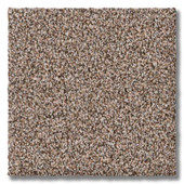 Revolution Mills Everest - Lookout Carpet Swatch