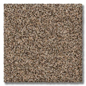 Revolution Mills Everest - Creekbed Carpet Swatch
