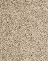 Karastan Barkley - Khaki Beige Carpet Swatch Karastan Barkley - Khaki Beige Carpet Swatch
