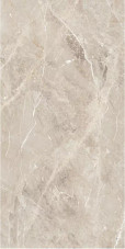 Sundara Driftwood 24" X 48" Polished Porcelain Tile