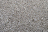 Shaw Charm - Anchor Carpet Swatch