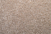 Shaw Charm - Sand Carpet Swatch