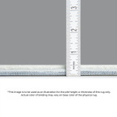 Dalyn Ravenna RN10 Putty Area Rug pile