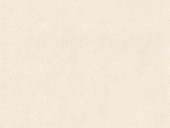 Marble 24X24 Limestone Honed 5000-0213-0 Serene Ivory Tile