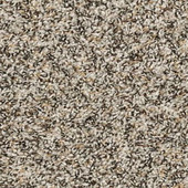 Mohawk Best Furiends I - Pebble Trail Carpet Swatch