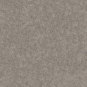 Shaw Grand Outlook - Mission Ridge Carpet Swatch