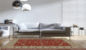 Ancient Garden 57120-1464 Red/Ivory (14 Red) Area Rug by Dynamic Rugs Room Scene Ancient Garden 57120-1464 Red/Ivory (14 Red) Area Rug by Dynamic Rugs Room Scene