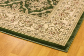 Legacy 58018-440 Green Area Rug by Dynamic Rugs Corner