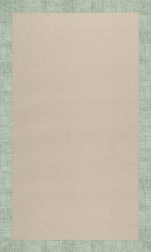 Capel Creative Concepts Beach Sisal 2009 Rave Spearmint Area Rug