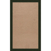 Capel Creative Concepts Raffia 1992 Canvas Fern Area Rug