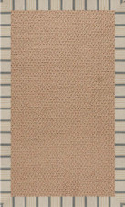 Capel Creative Concepts Raffia 1992 Cove Pebble Area Rug